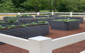 How to Produce a raised Bed Garden