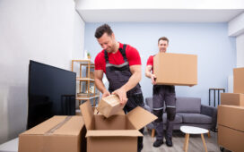 Safe Ship Moving Services