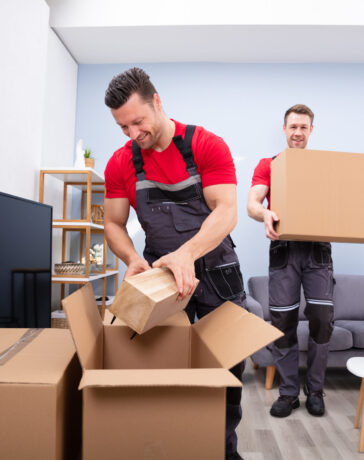 Safe Ship Moving Services