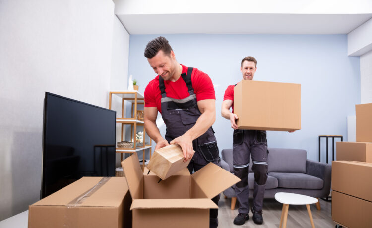 Safe Ship Moving Services